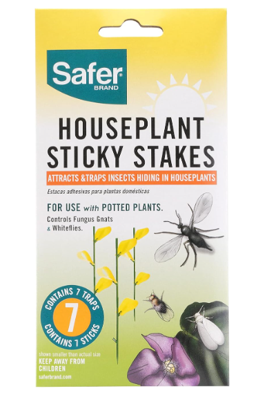 House Plant Sticky Stakes
