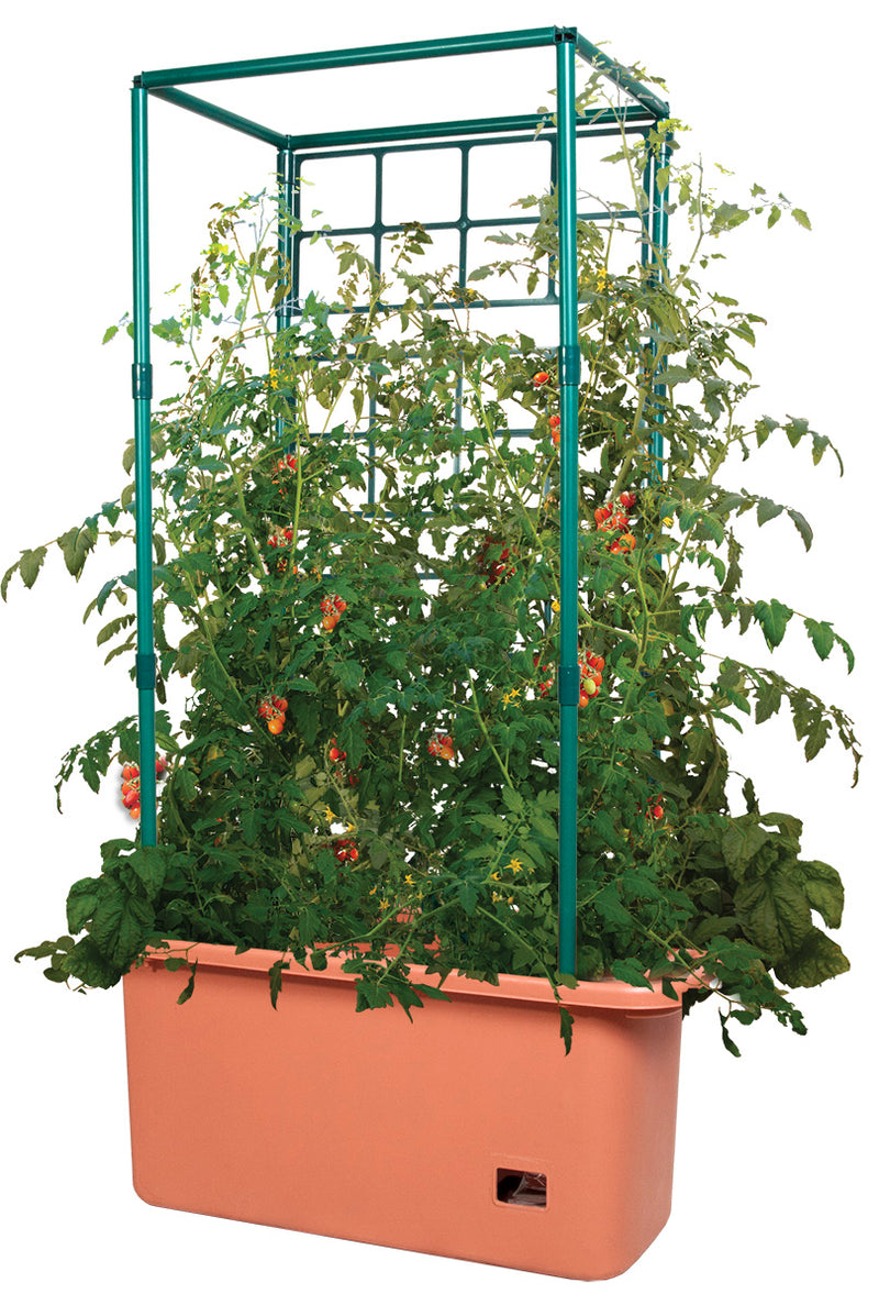 Load image into Gallery viewer, Tomato Trellis Garden on Wheels
