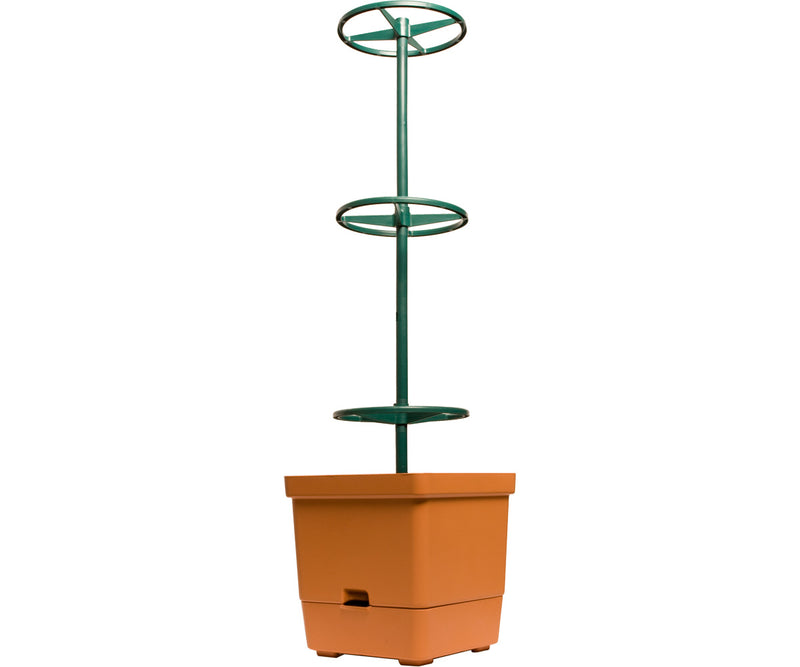 Load image into Gallery viewer, Tomato Tree w/ 3&#39; Tower
