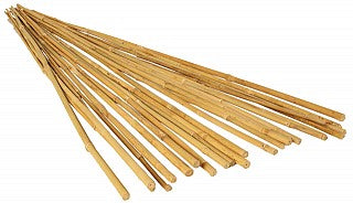 Plant Stakes 4' bamboo, 25 pack