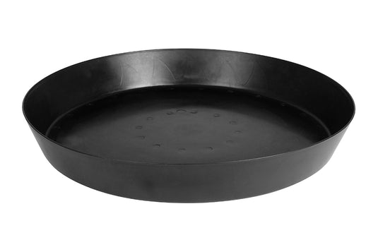 Saucers