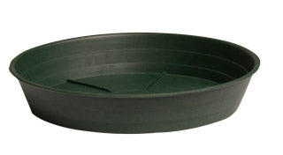 Green Premium Saucer 14