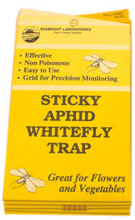 Sticky Whitefly trap, 5 pack