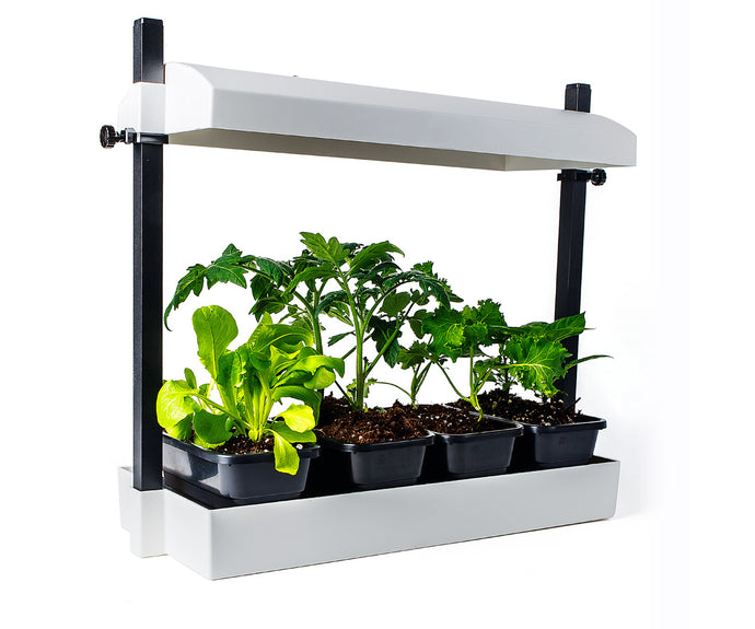 SunBlaster Micro T5 Grow Light Garden, White