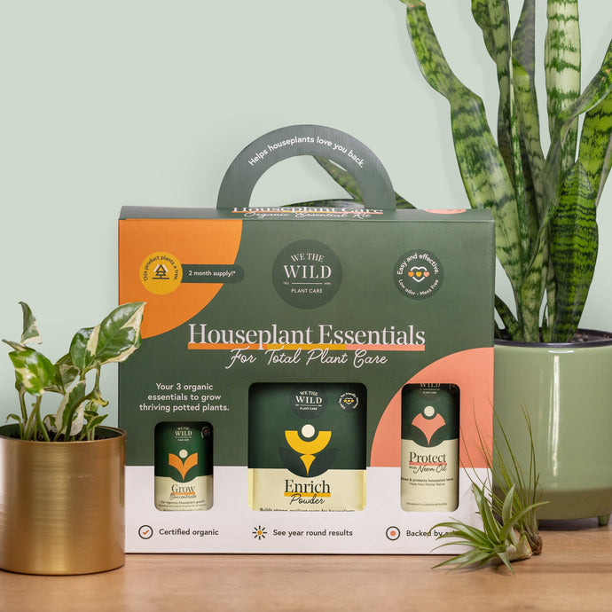 WTW Houseplant Essentials Kit