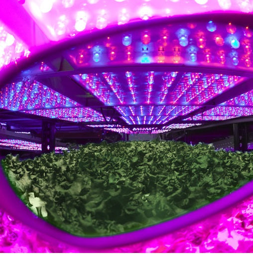 Load image into Gallery viewer, Cultivator LED Plus Glasses
