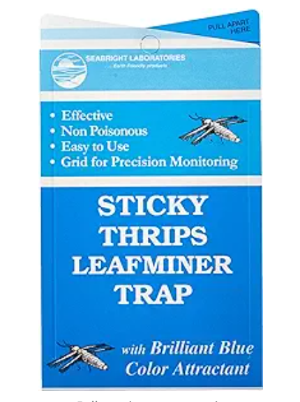 Thrip/Leafminer Trap 5 pack